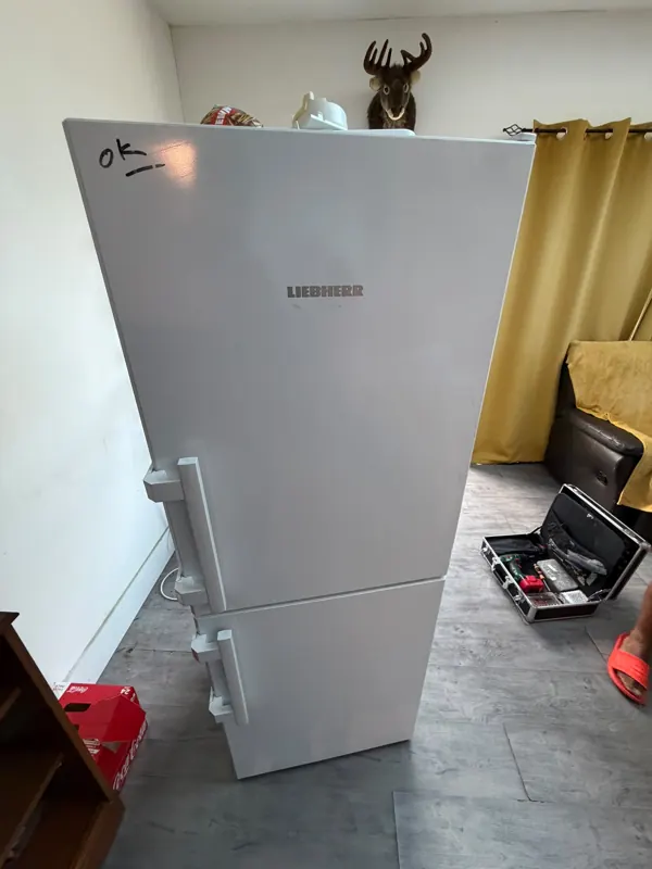 Liebherr fridge-freezer — LCDA repair visit